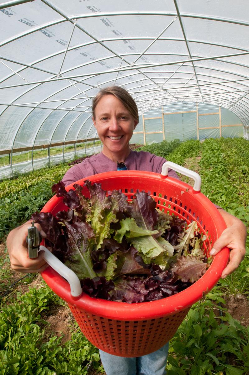 Amy's Organic Garden owner Amy Hicks harvesting greens at her farm in Charles City, VA.