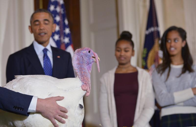 President Obama and daughters pardon the annual turkey in 2014.