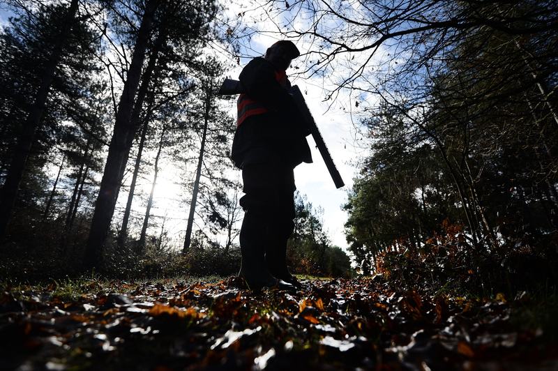 A hunter attends a big game hunt on February 14, 2015 in La Chapelle-Glain, western France. With 1.3 million of hunters, France remains the first country in Europe for wildlife management.