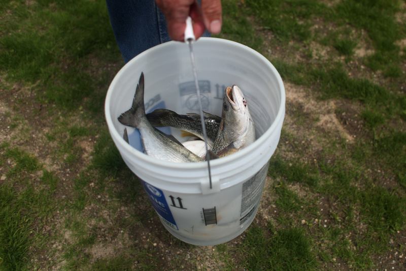 George Remmer catches fish for the Snapper Inn in Oakdale and some restaurants on Fire Island.
