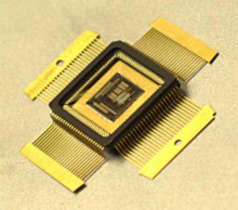 Ted Berger's brain microchip