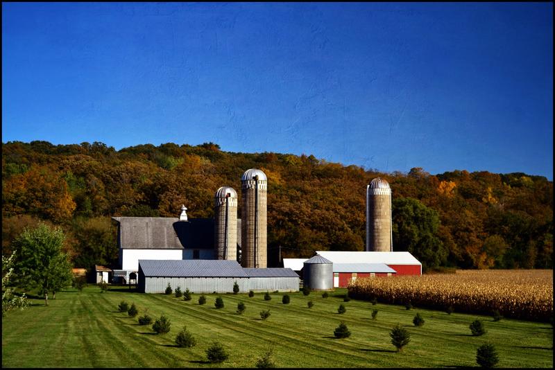 Farm in Minnesota