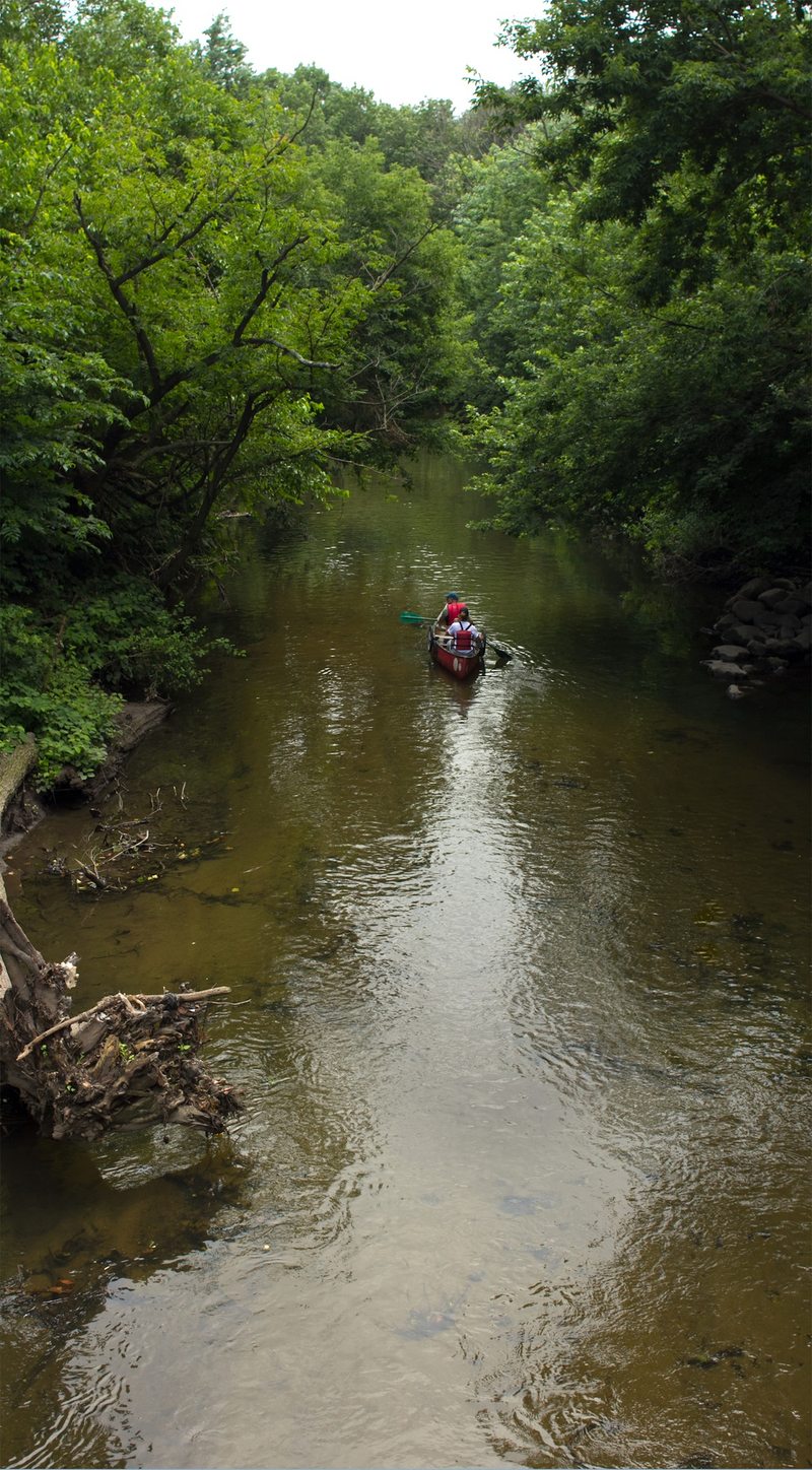 Canoeing on the Bronx River gives a rare glimpse of part of New York that few people--residents or tourists--get to see.