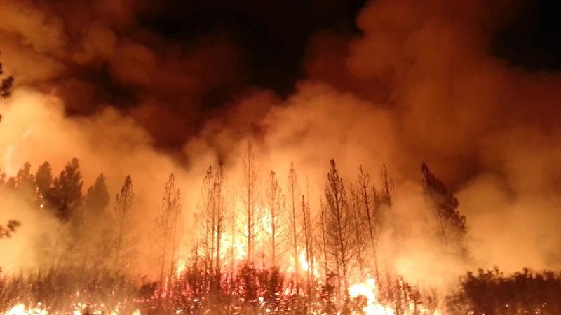The Rim Fire in the Stanislaus National Forest in California.