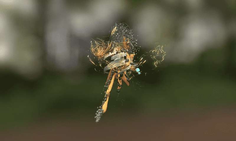 A screenshot from Andy Thomas' animated short <em>Nightingale and Canary</em>