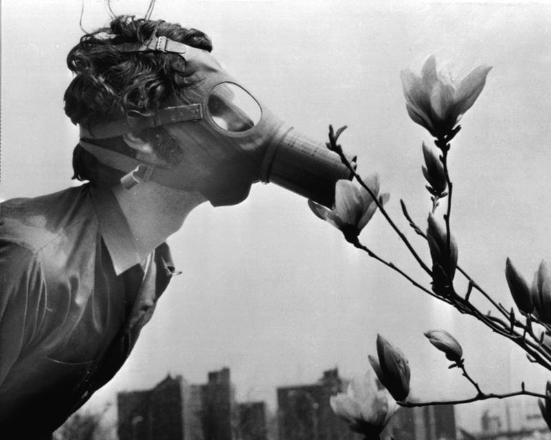 A Pace College student in a gas mask "smells" a magnolia blossom in City Hall Park on Earth Day, April 22, 1970, in New York.