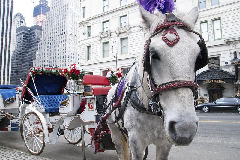 Mayor de Blasio wants to ban the use of horse-drawn carriages in Central Park by the end of the year.