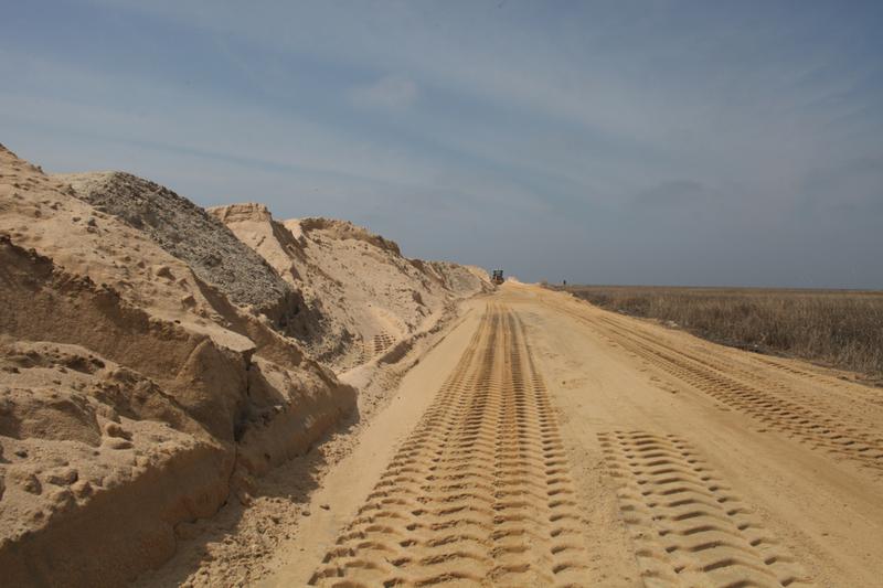 Trucks haul about 42-thousand cubic yards of sand onto the beaches on the Delaware Bay where horseshoe crabs come to lay their egg.