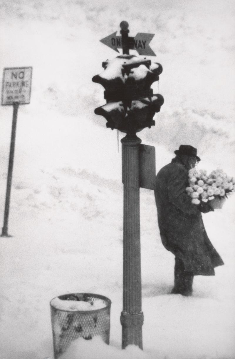 Even through the dead of winter, the Flower District gave New York City a lively shot of romance.