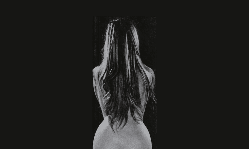 Image from the cover of “Naked Came the Stranger”