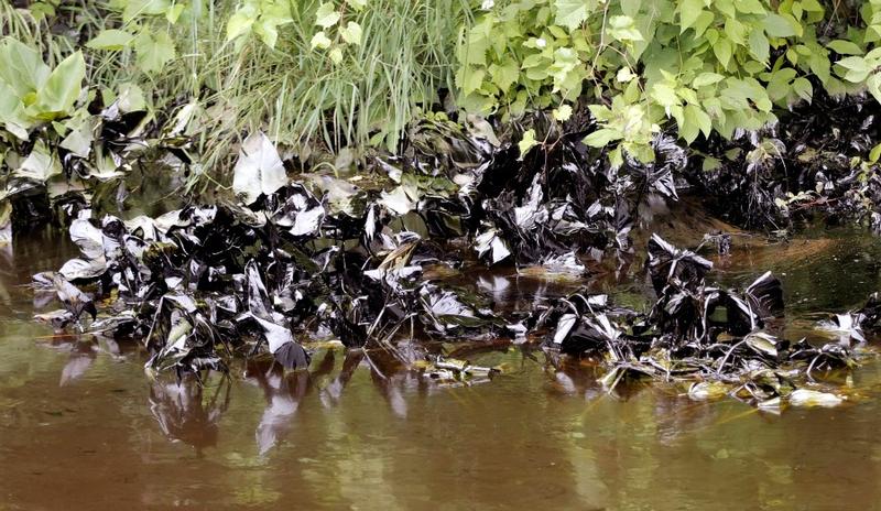 Oil in the Kalamazoo River