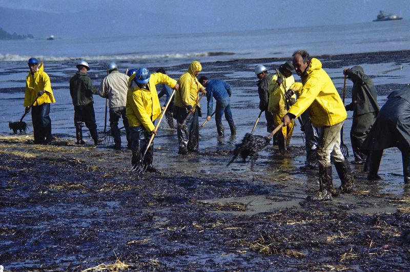 In this Feb. 6, 1969, file photo, state forestry conservation crews gather up oil-soaked straw on a beach in Santa Barbara, California.