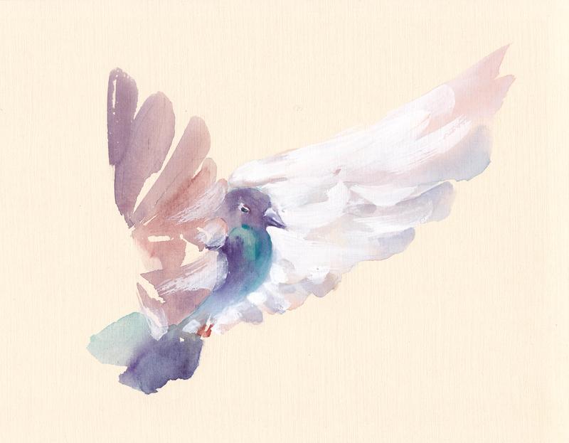 What does peace look like?