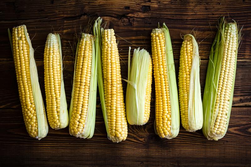 Fresh corn cobs