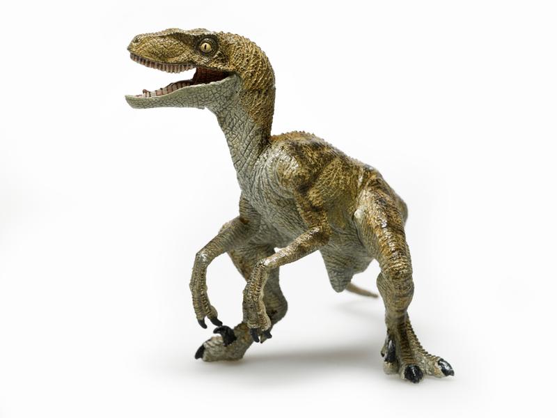 One of the problems with neolution is turning yourself into a Velociraptor.