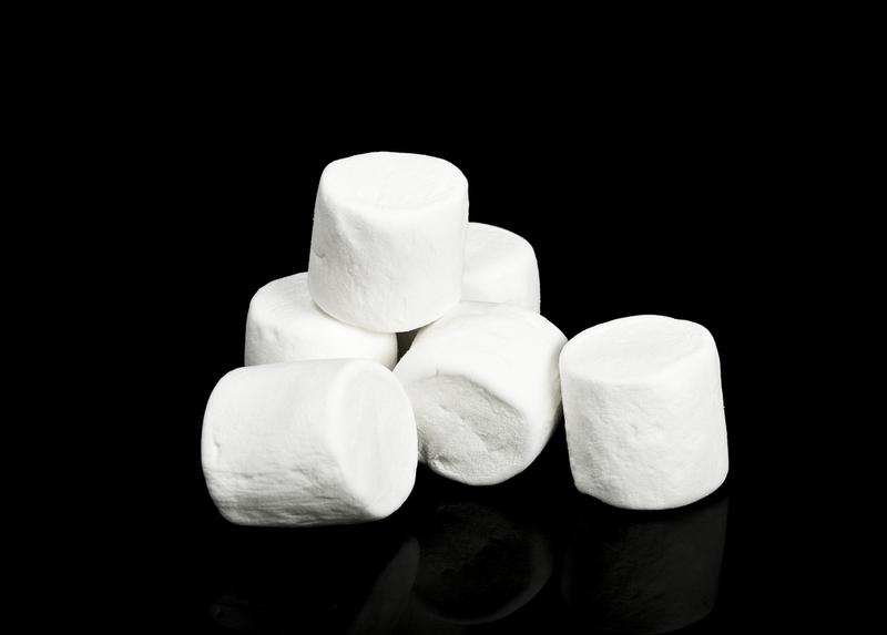 The Marshmallow Test and Investigating Where Willpower Comes From The