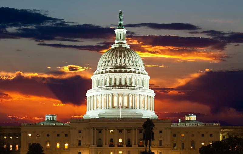 The U.S. Capitol Building.