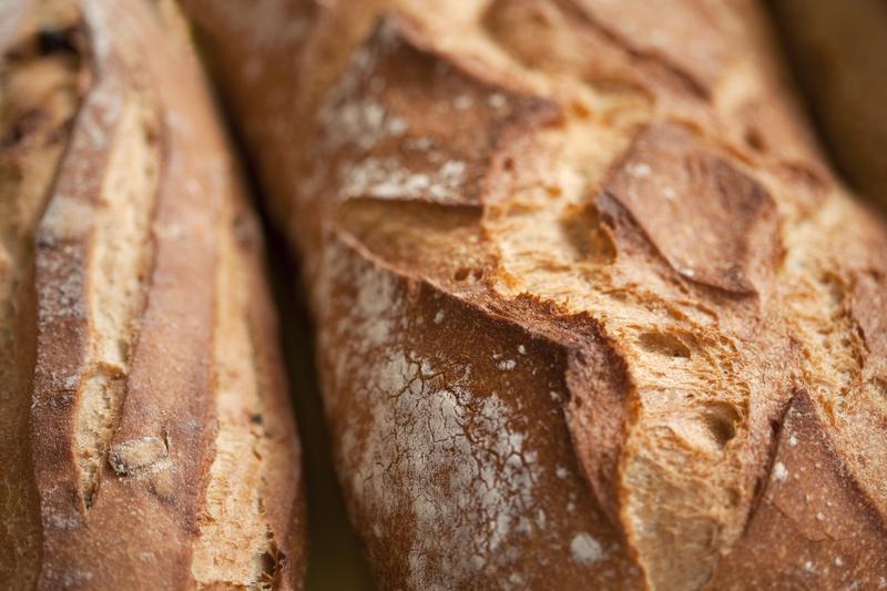 Samuel Fromartz perfected his breadmaking skills and learned all about bread, from seed to flour to the biochemistry of sourdough.