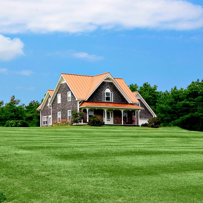 Every year, 80 million pounds of pesticides are used on yards and gardens. Those chemicals can end up in rivers, lakes, and drinking water.