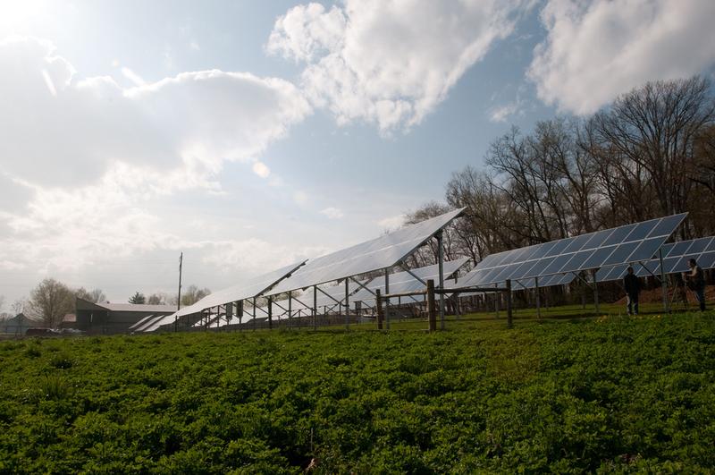 Should the government be subsidizing the alternative energy industry?