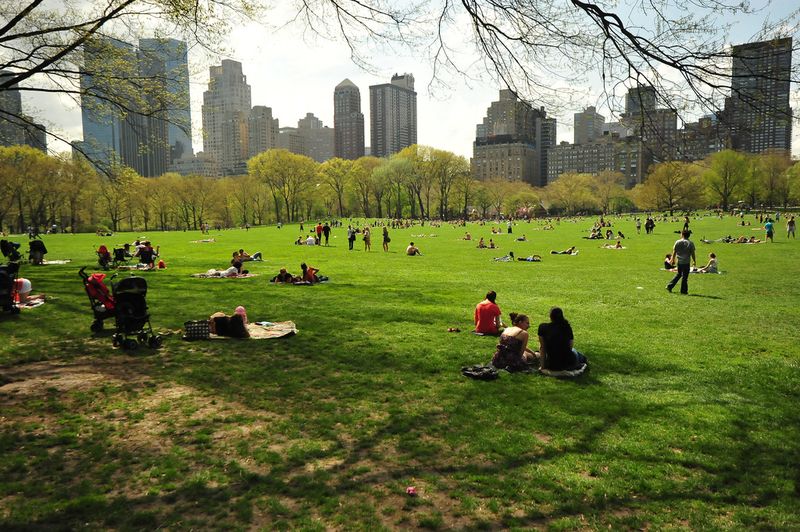 Spring in Central Park.