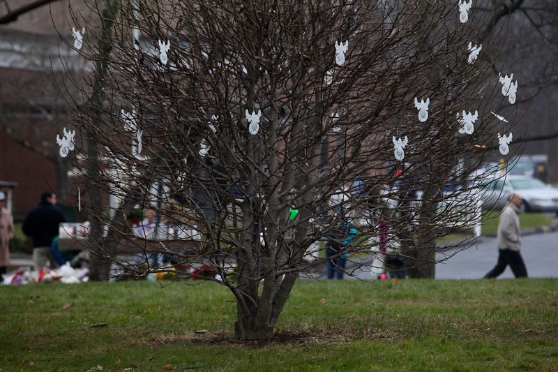 Angels hang from a tree outside of St. Rose Church in Newtown, Conn., after the deadly shooting at nearby Sandyhook Elementary School.