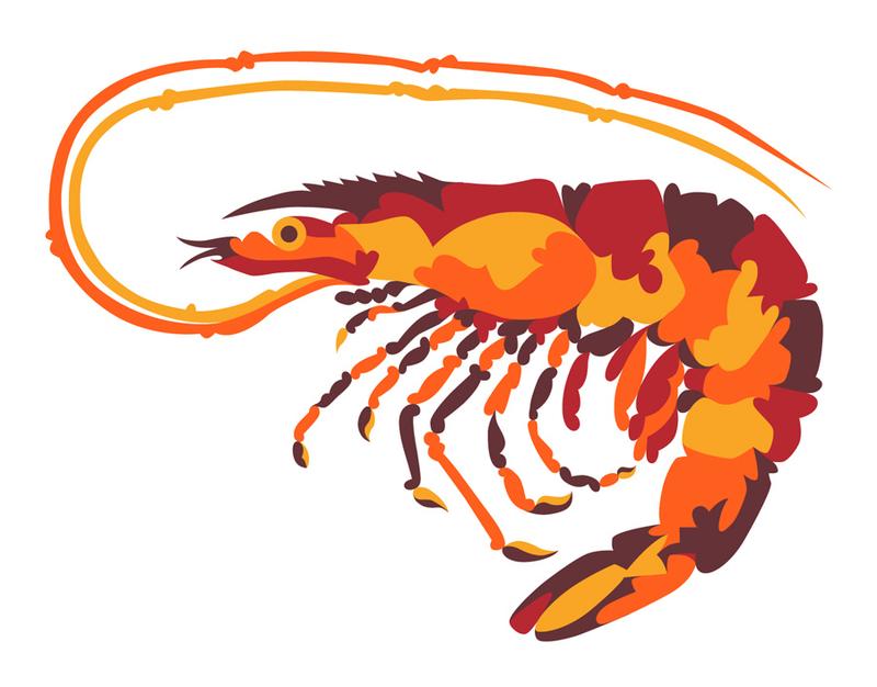 Louisiana shrimp
