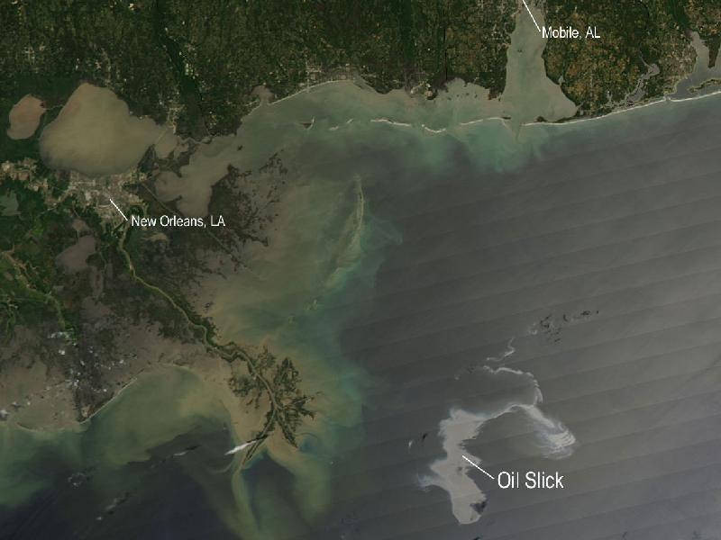 NASA recently released pictures showing the view from space of the oil spill in the Gulf of Mexico.