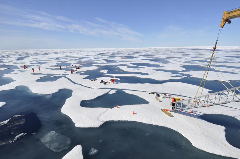 Melt Ponds in the Arctic