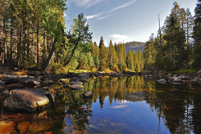 Yosemite National Park
