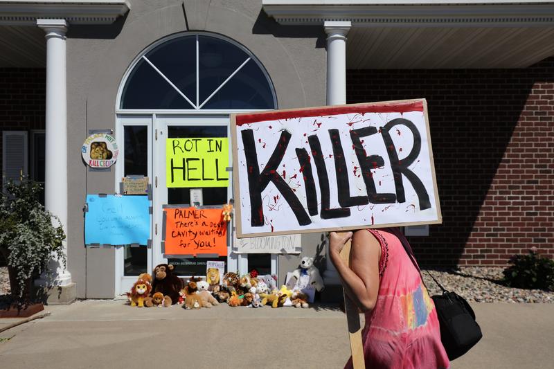 Protesters call attention to the alleged poaching of Cecil the lion, in the parking lot of Dr. Walter Palmer's River Bluff Dental Clinic on July 29, 2015 in Bloomington, Minnesota.