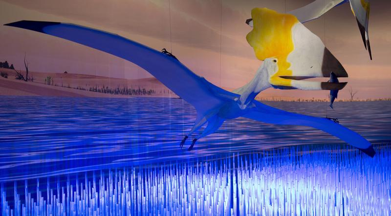Part of the exhibit called 'Pterosaurs: Flight in the Age of Dinosaurs' are shown at a preview April 1, 2014 at the American Museum of Natural History in New York.