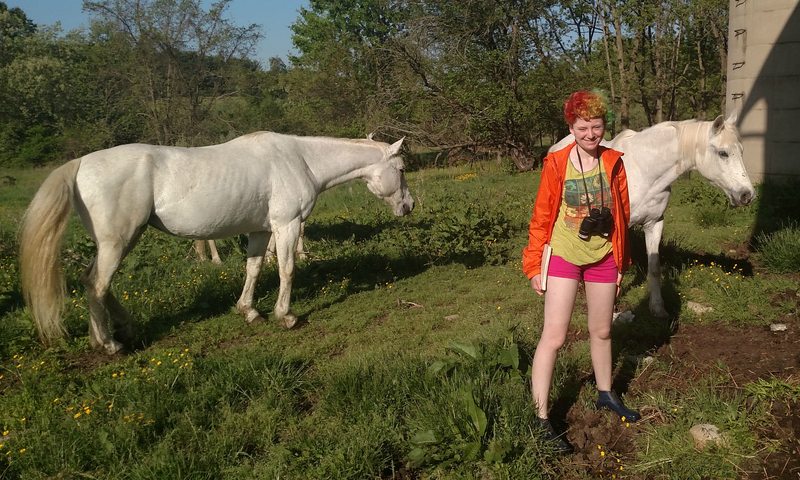 While on a field expedition to look for wasp nests, PhD student Julia Pilowsky stumbled upon feral horses.