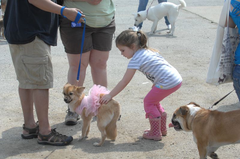 Pet Fest - U.S. Army Garrison Humphreys, South Korea - 5 May 2012