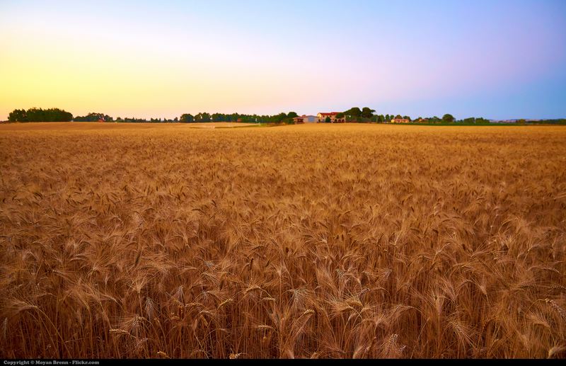 Countryside