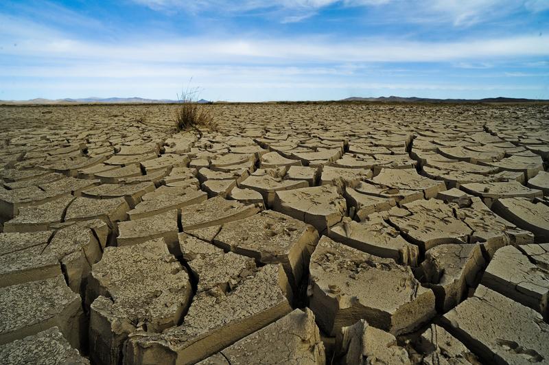 Some of the results of climate change in Mongolia.