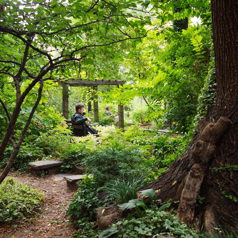6th and B Community Garden in New York
