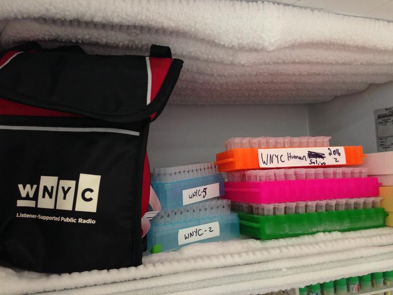 Frozen saliva samples before processing at the University of Nebraska, Omaha.