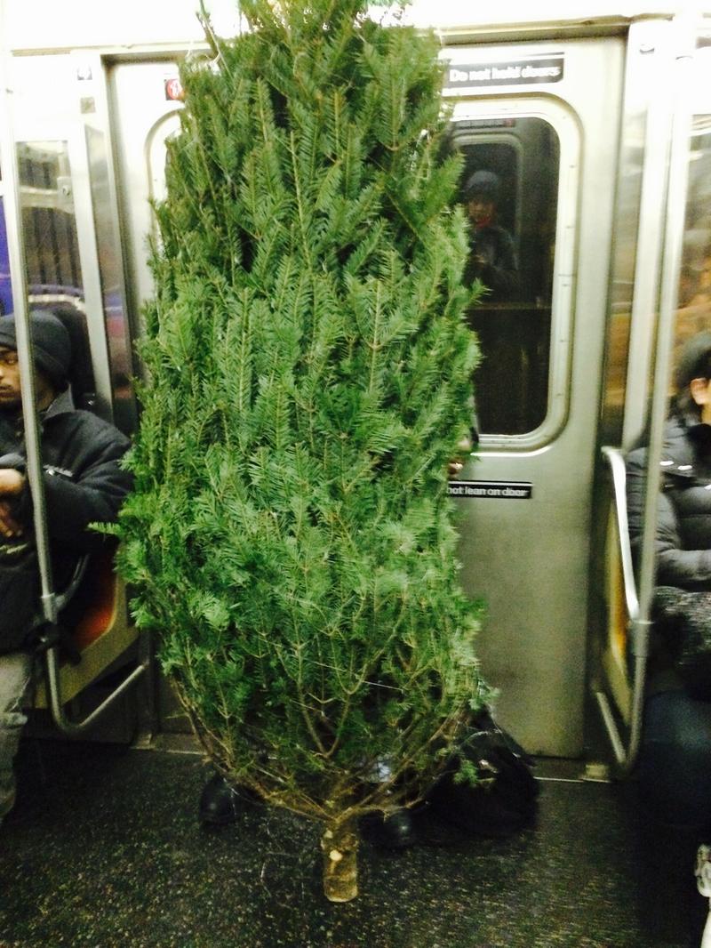 Christmas comes to the D train