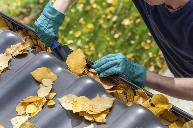 Man cleaning autumn leaves from the gutter