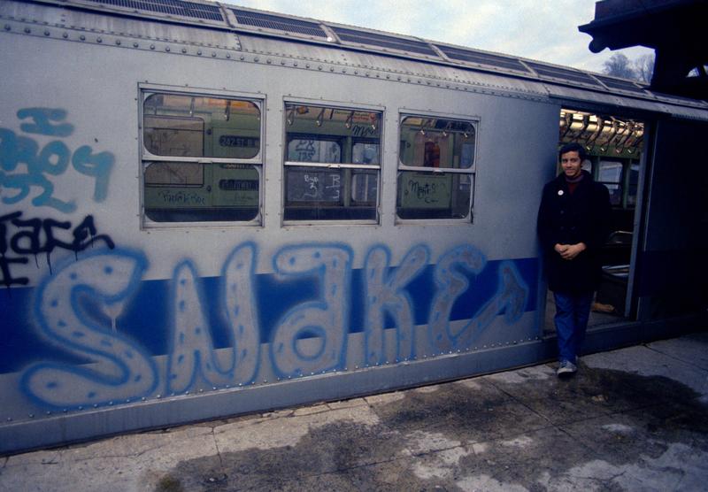 Snake on a train