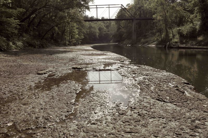 Searching for the Truth of 'The Hanging Bridge' The Takeaway WNYC