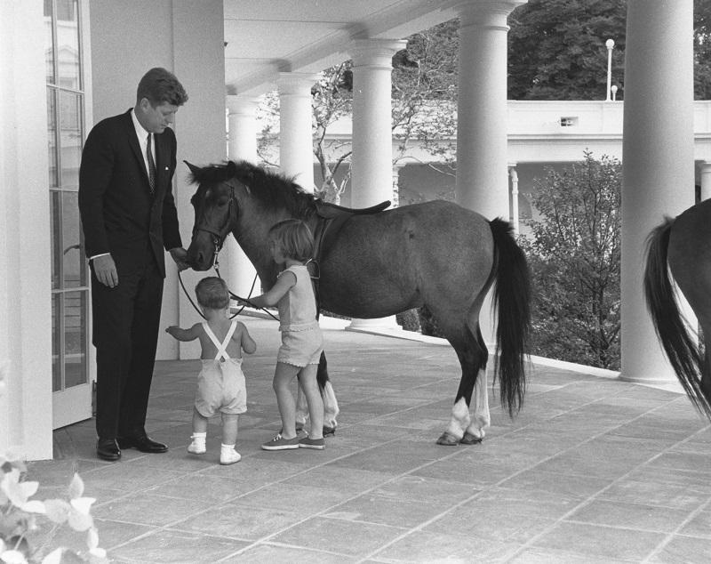 Outside the White House's Oval Office, American President John F. Kennedy (1917 - 1963) and his children, John (1960 - 1999) and Caroline, play with pony Macaroni, Washington DC, June 22, 1962.