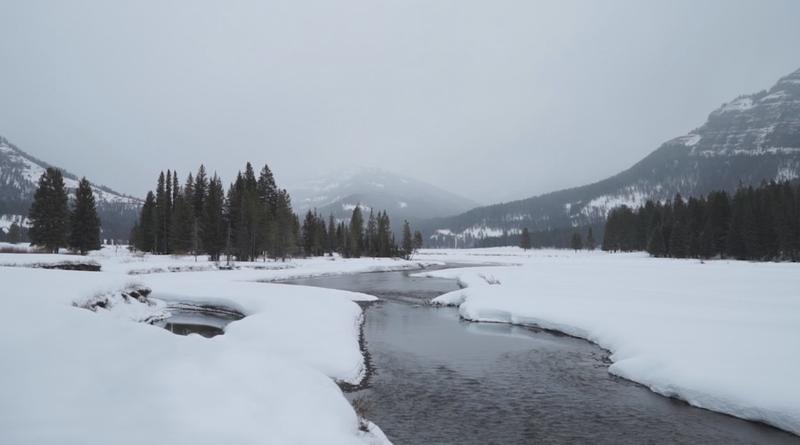 Still from the trailer for "The Colorado" by Murat Eyuboglu
