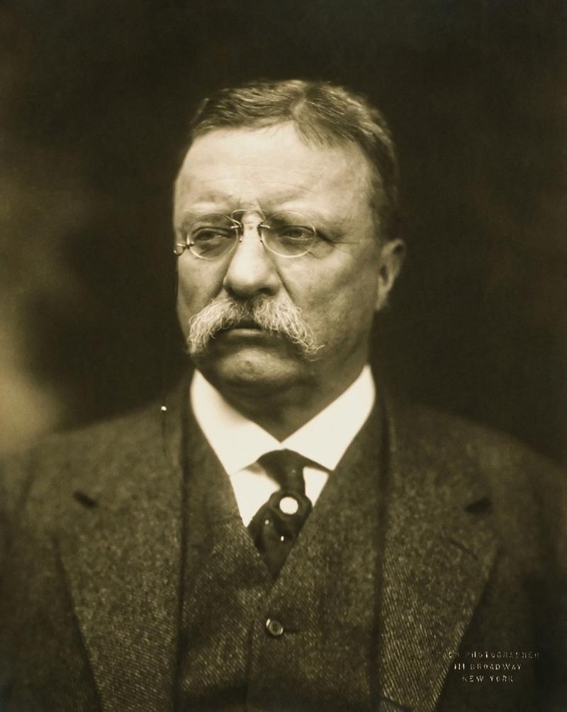 Theodore Roosevelt was played an important role in the progressive movement and changing the political landscape in America.