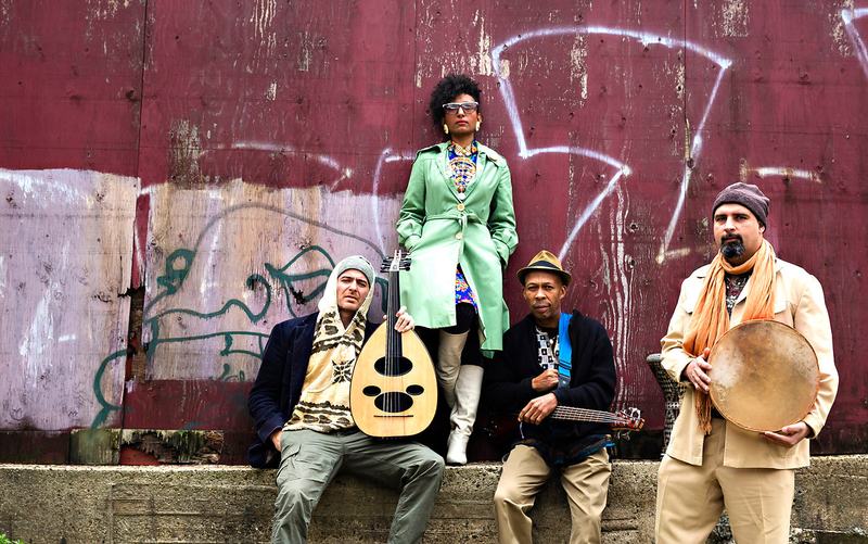 Alsarah and the Nubatones