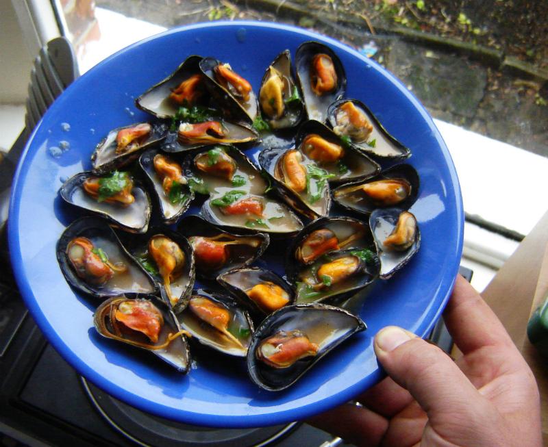 An Everything Guide to Farming and Eating Mussels, Clams, and more