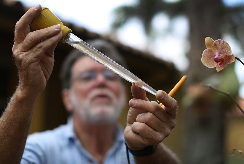 A Miami-Dade county mosquito control inspector looks at mosquito larva in a sample of water.