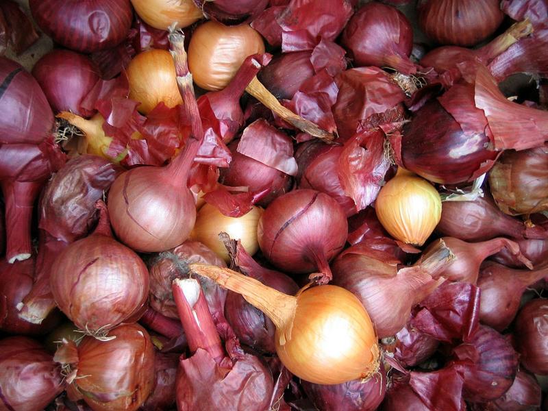 Onion on onion.