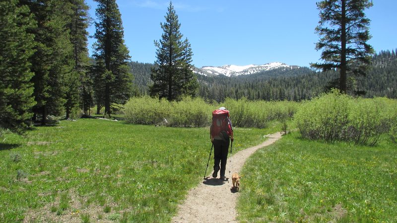 Big Meadow to Echo Summit on the Pacific Crest Trail in California.